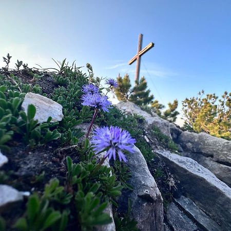 Ferienwohnung Gasser Hahnenkamm Blick Reutte Zewnętrze zdjęcie