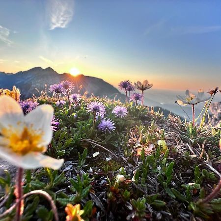 Ferienwohnung Gasser Hahnenkamm Blick Reutte Zewnętrze zdjęcie