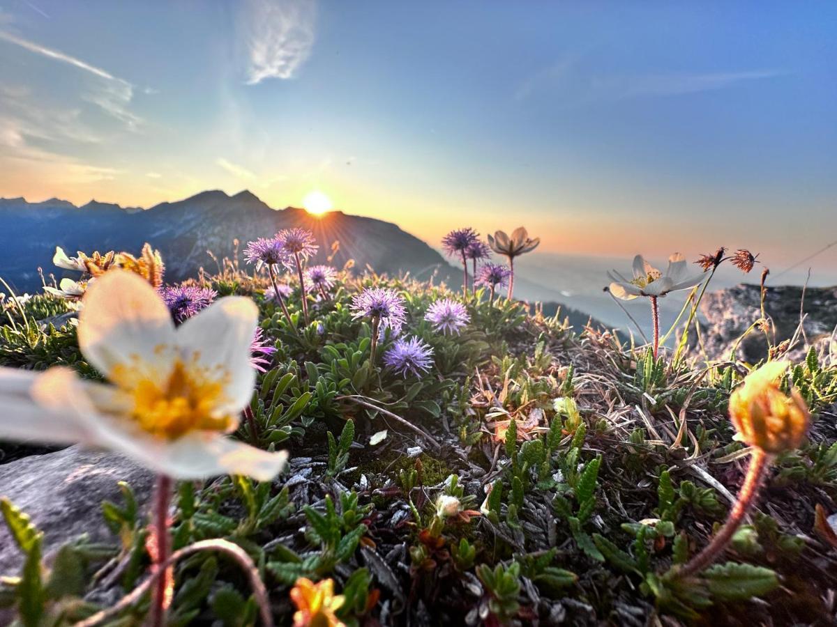 Ferienwohnung Gasser Hahnenkamm Blick Reutte Zewnętrze zdjęcie